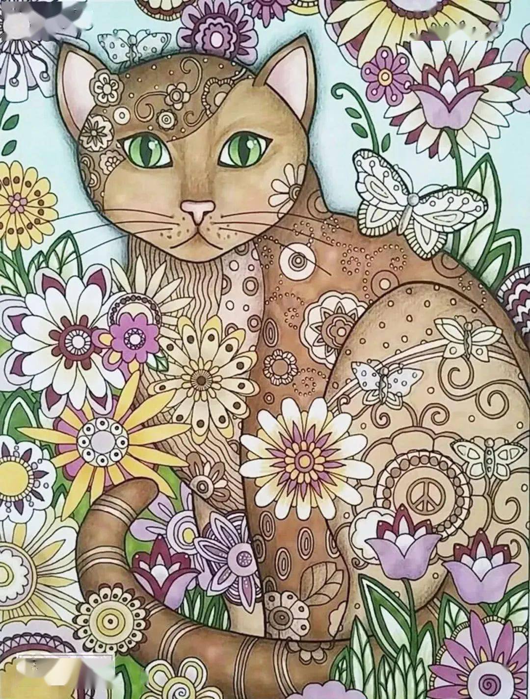 彩色线描这样画,果断收藏~_创意_素材_启发