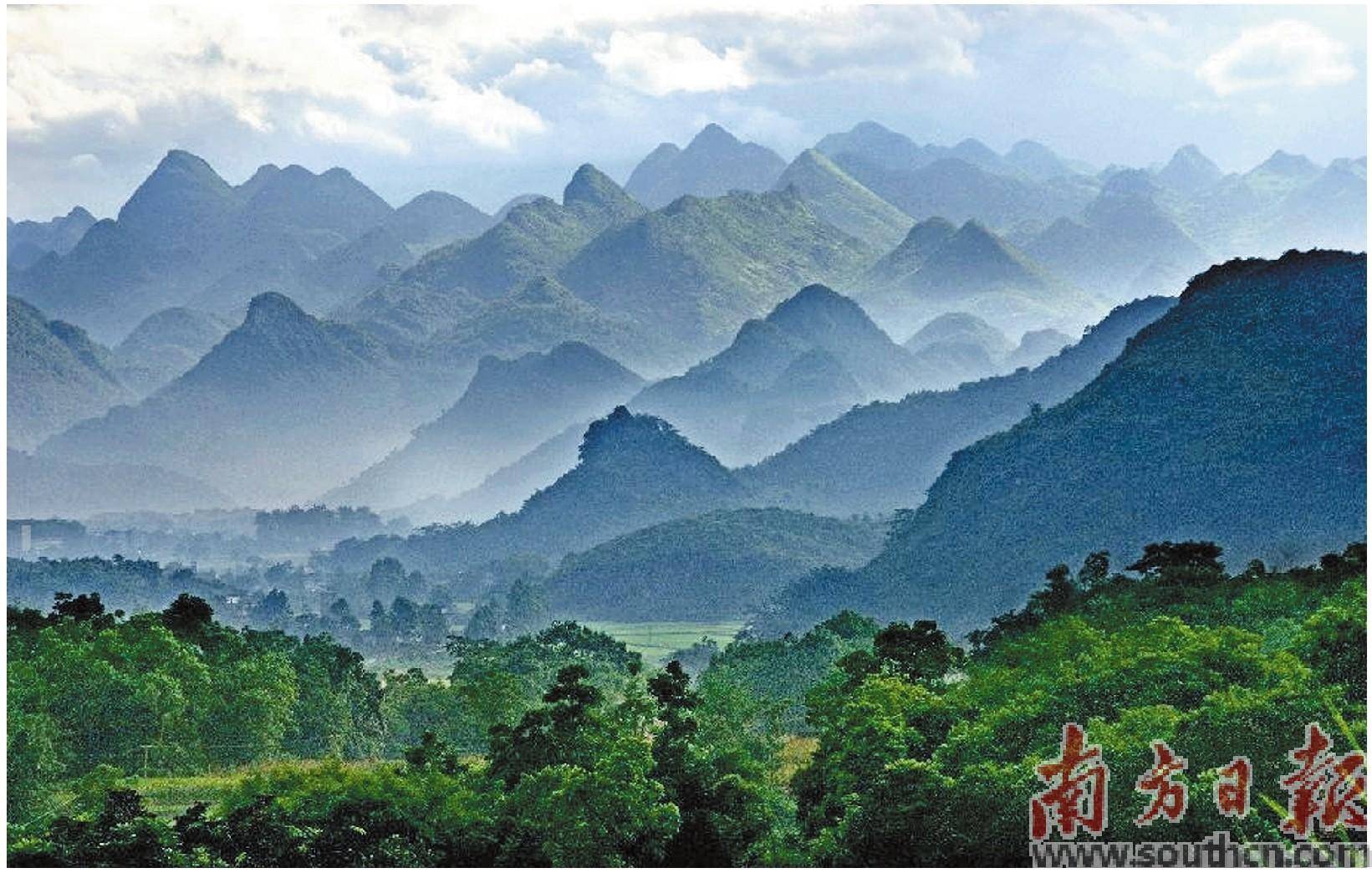 岭背入选广东省森林城镇_发展_建设_产业