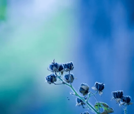 人依舊,愛依然,情永遠_生活_人生_一生