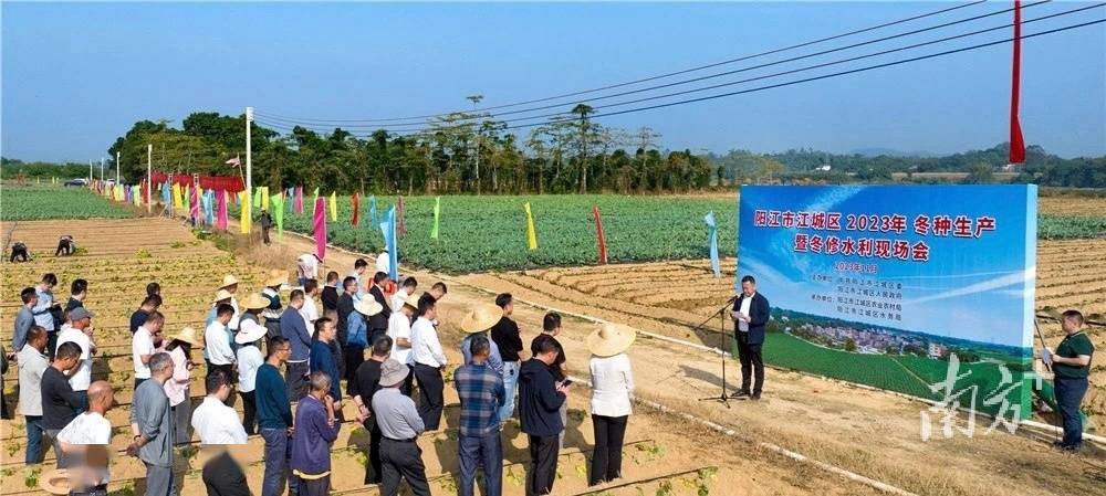 阳江市江城区切实抓好冬种生产冬修水利工作_农业_发展_现场会