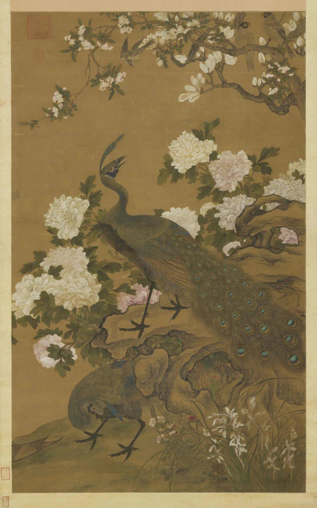 牡丹图明_唐寅_牡丹图明_徐渭_牡丹图明_徐渭_水墨牡丹图点击小程序