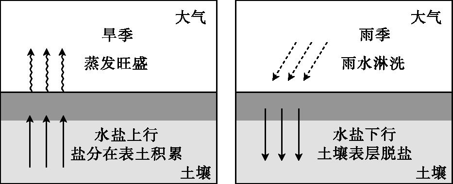 67【地理乾貨】高中地理50個必考專題大彙總,高考中