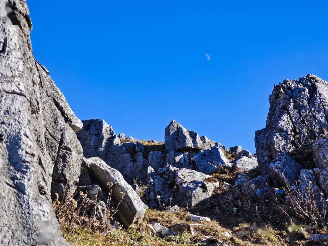 石林,石芽,天坑,豎井類地貌可以看到山上全都是徒步在北羊山的山間