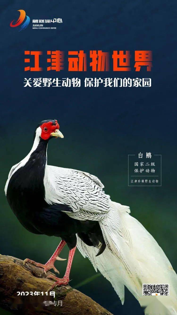 江津動物世界_體長_中國_體重