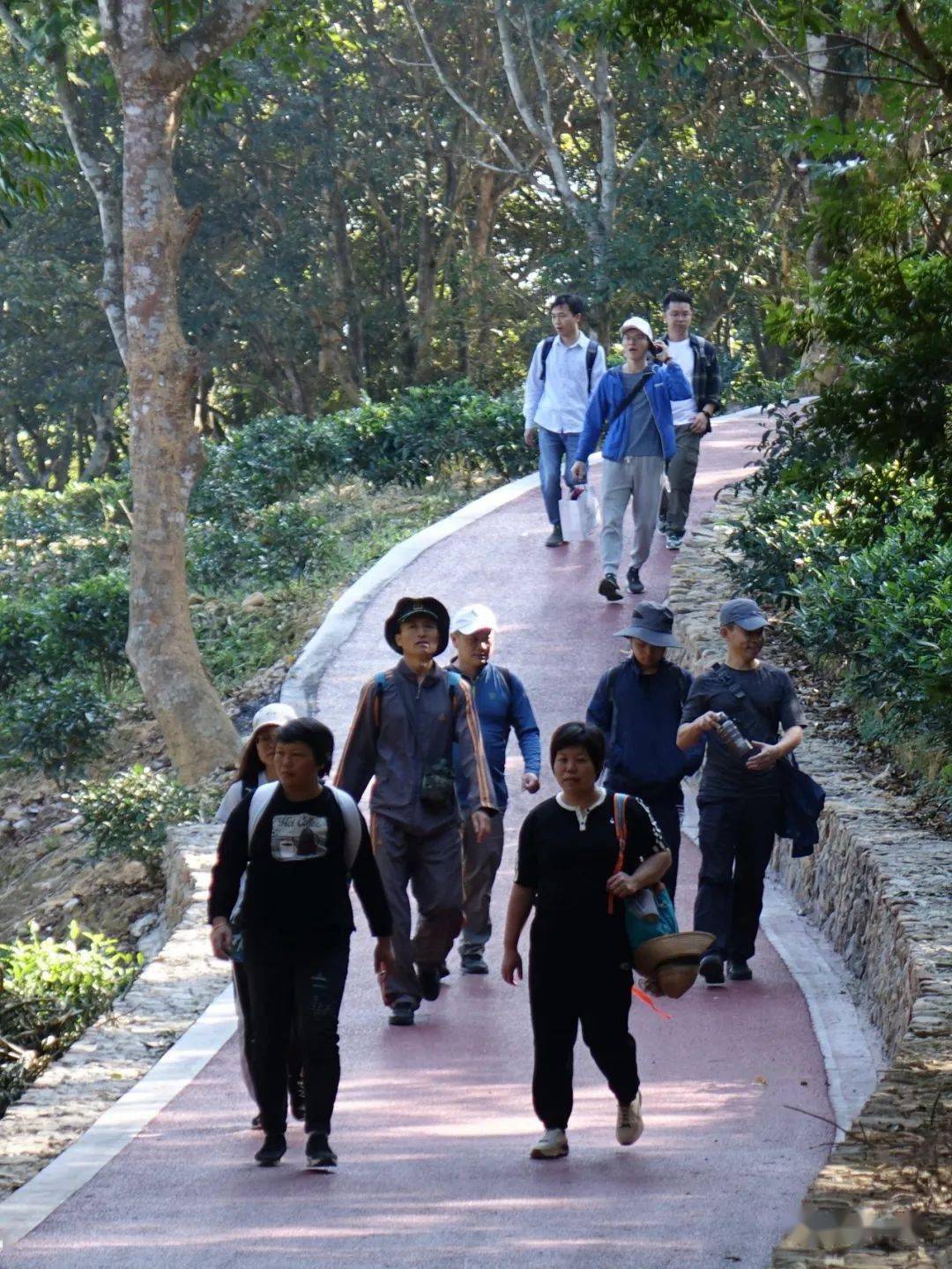 潮州第十四屆徒步節掠影_東山_圖文_鳳凰