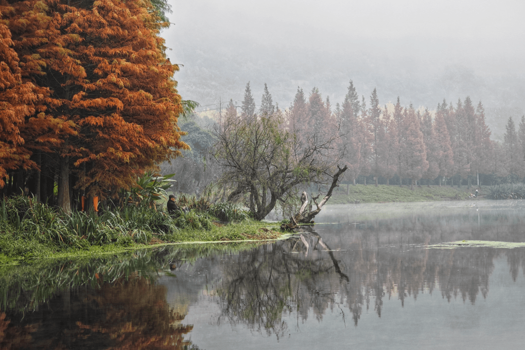 贵阳线网时代畅想曲|原来你是这样的3号线_贵州省委党校_花溪公园