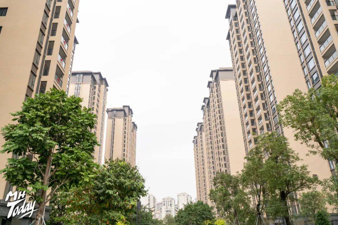 品质交付力,棉湖1号这场交付,业主直呼买对了!_服务_仪式_实力