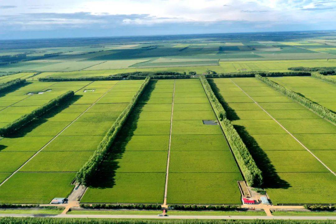 【"二十连丰"密码】在沃野良田上绘就丰登美景_格田_改造_农业