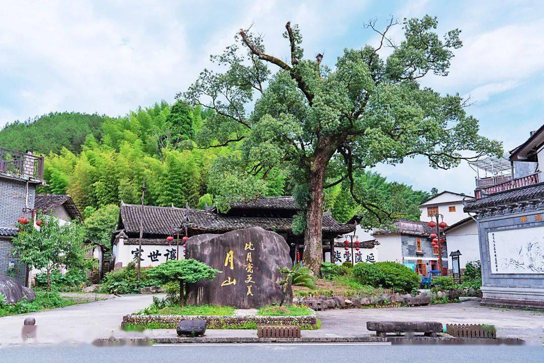 同时,还获评省级老年养生旅游示范基地,丽水市十大养生长寿村