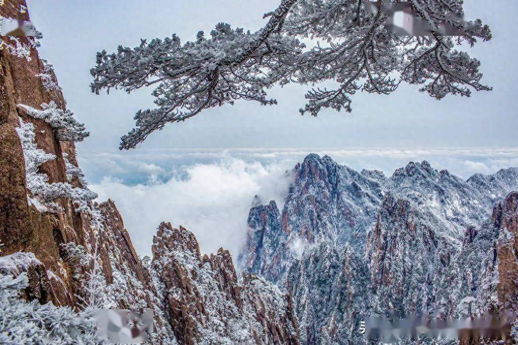 这个冬天跟我们一起去拍摄黄山的雪景 云海 雾凇 冰挂