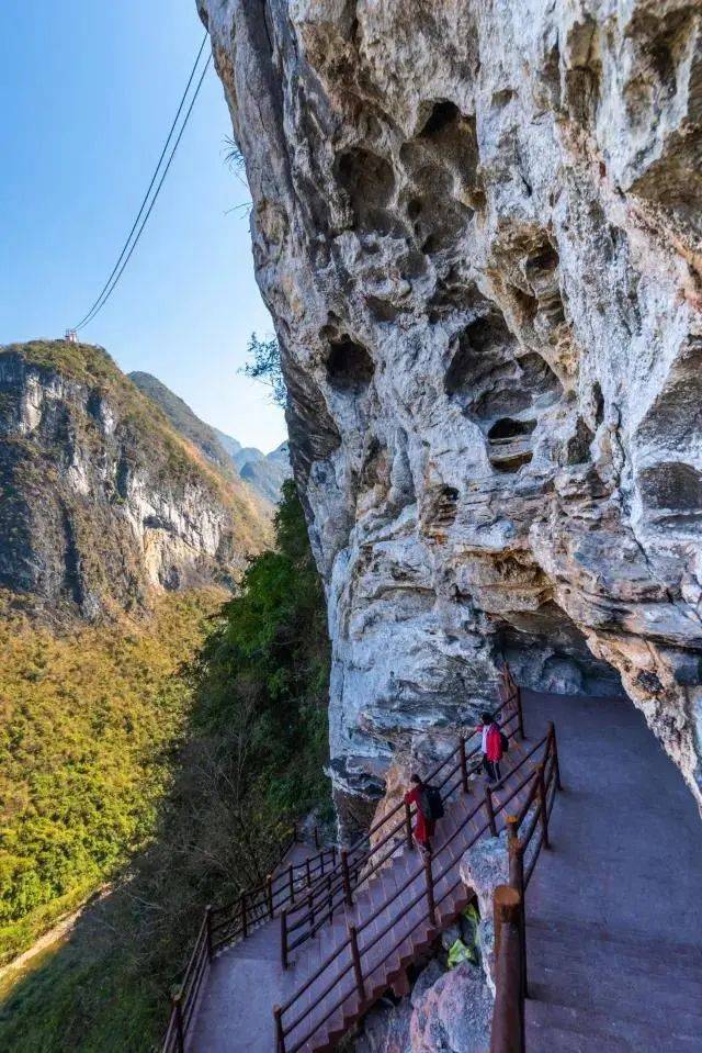 【阳山两天】广东峡天下看坪千年银杏_岭背镇_玻璃_景区