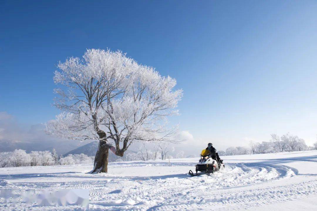 坐雪圈,打雪仗,堆雪人,穿花棉袄,包饺子,体验东北火炕,吃铁锅炖