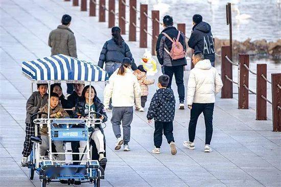 【天鵝季】這個冬季,赴一場天鵝之約_溼地_三門峽_公園