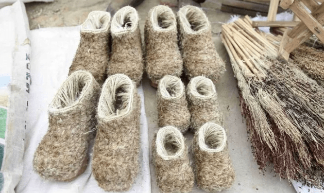 你们要的笼翁,来了!_砀山_天气_芦苇