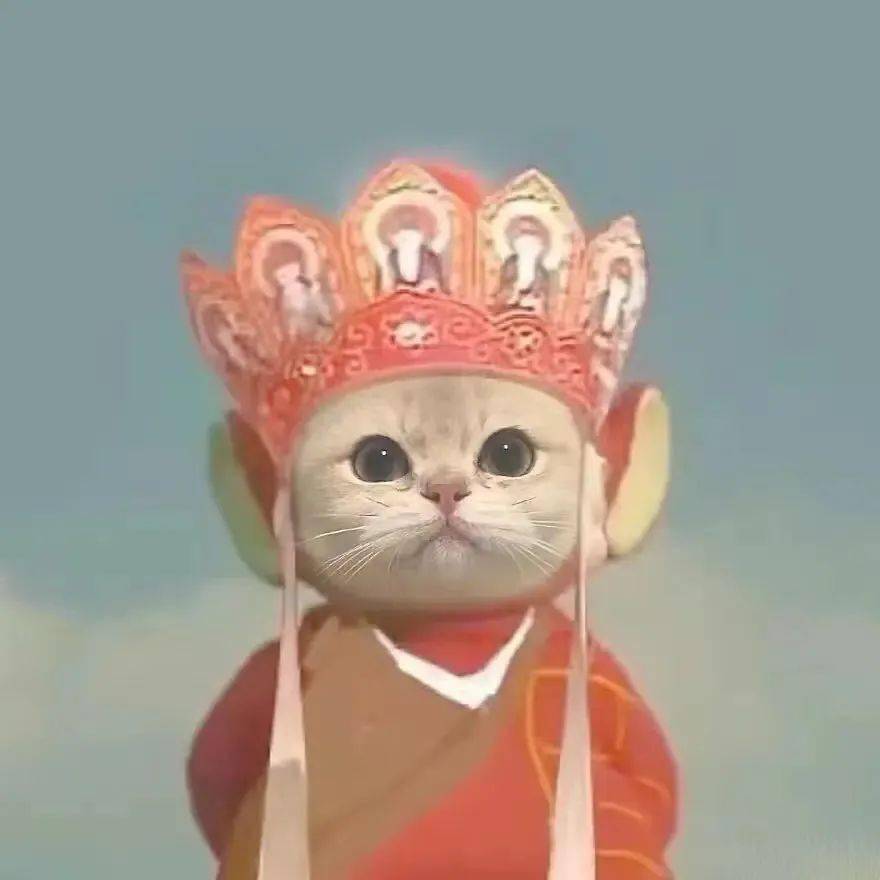 听到同乘的通话,他拨打了110……_毒品_电子_杨某强