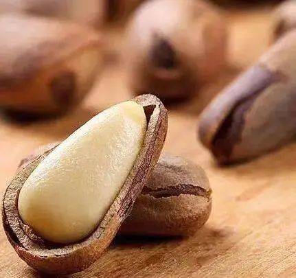 嘎嘎香!_松子_东北_果仁