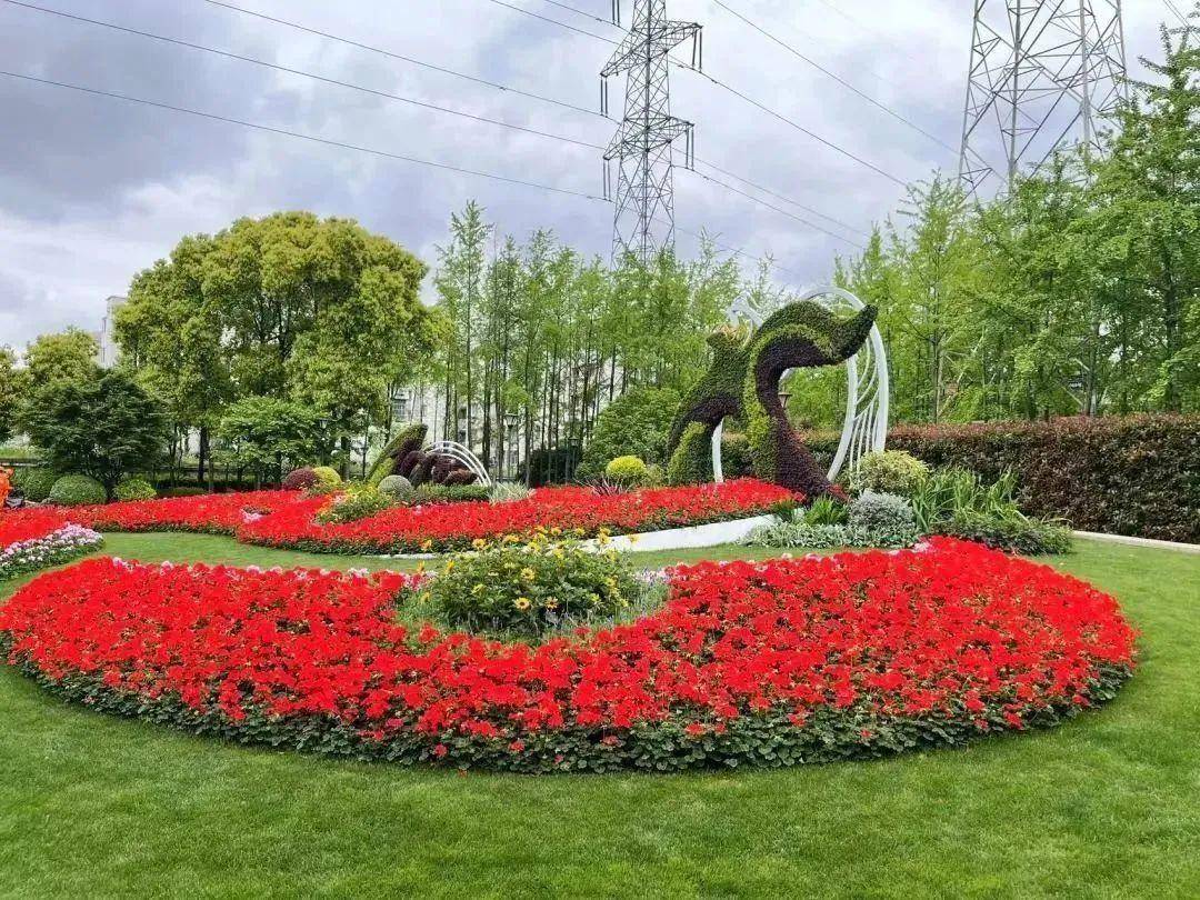 最新!静安这些公园园艺展示作品获奖啦