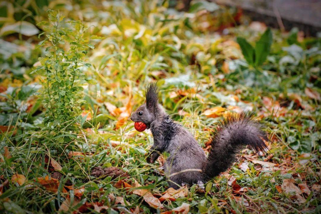 出品:党委宣传部来源:网络新闻社摄影:梦婷 铎耀 欣欣 椿庭 琦桁 正皓