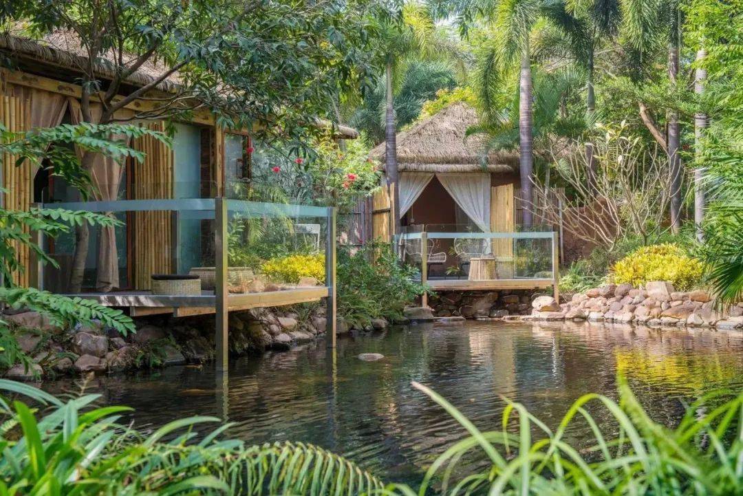 2023河源万绿湖马拉松赛事路线图公布!途径这些地方._优惠_东江_旅游