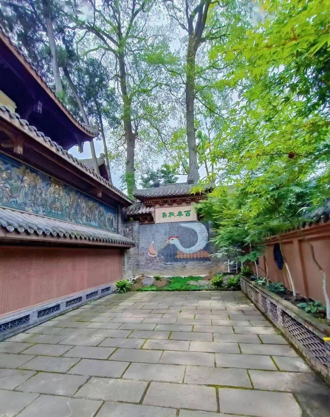 聆听邛崃丨漫步白鹤山_鹤林_人们_大雄宝殿