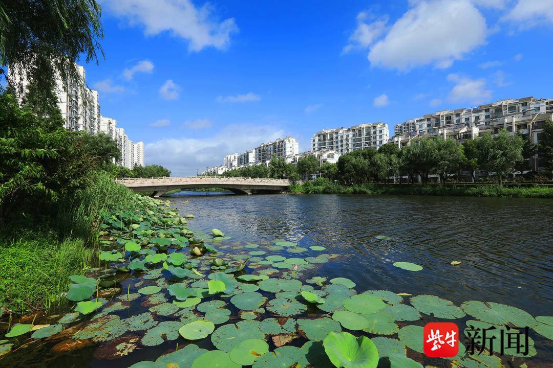 张家港市南丰镇做活"水文章",打造全域幸福河湖_建设_河道_永联村