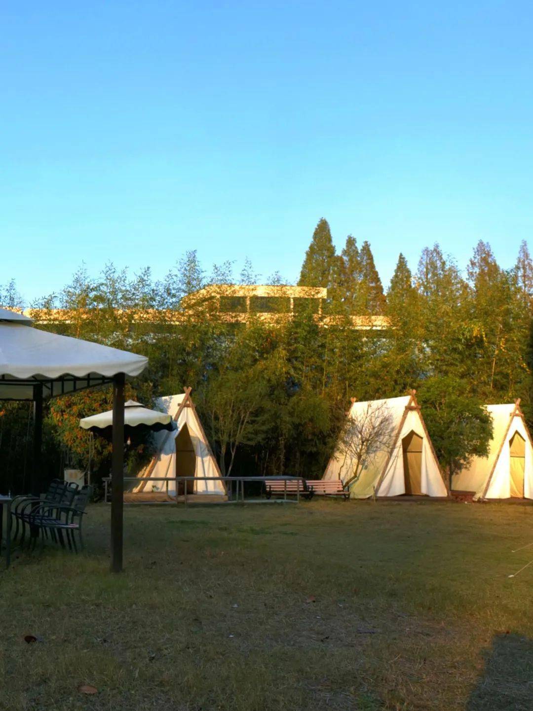 南湖书院:寻所小院,住进非遗文化里_信阳_南湾_乡村旅游