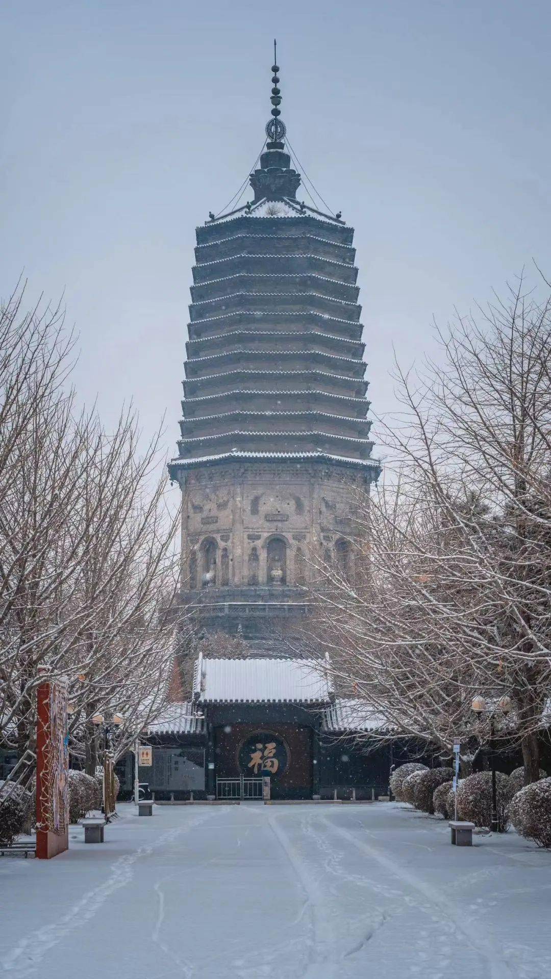 辽阳人快体验「冬日激情,一起滑雪」吧!_朱树林_自由_王谦