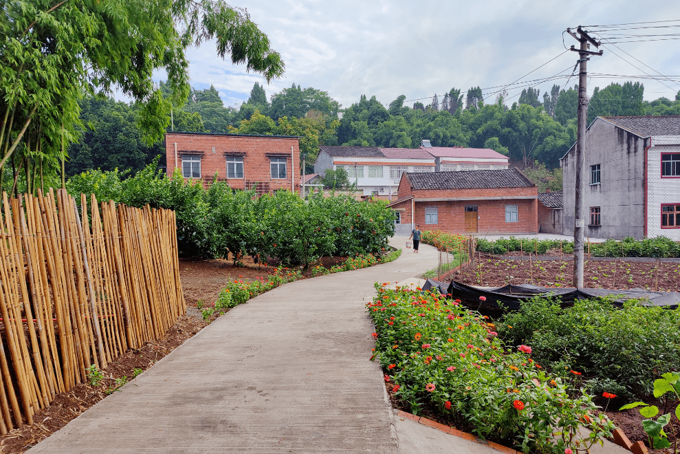 他山之石 | 四川内江:万户改善背后的组织力量_农村面貌_行动_工程