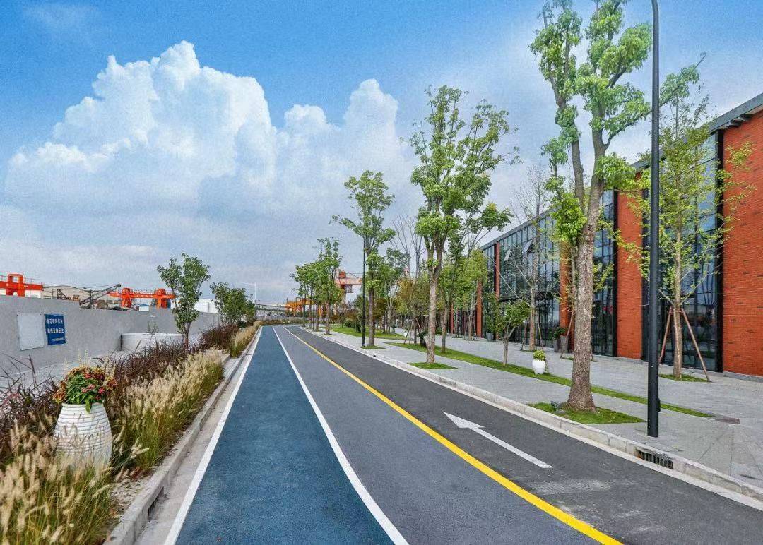 蕰藻浜南岸交运智慧湾共和新路东侧的绿道犹如一条"绿色动脉",不仅