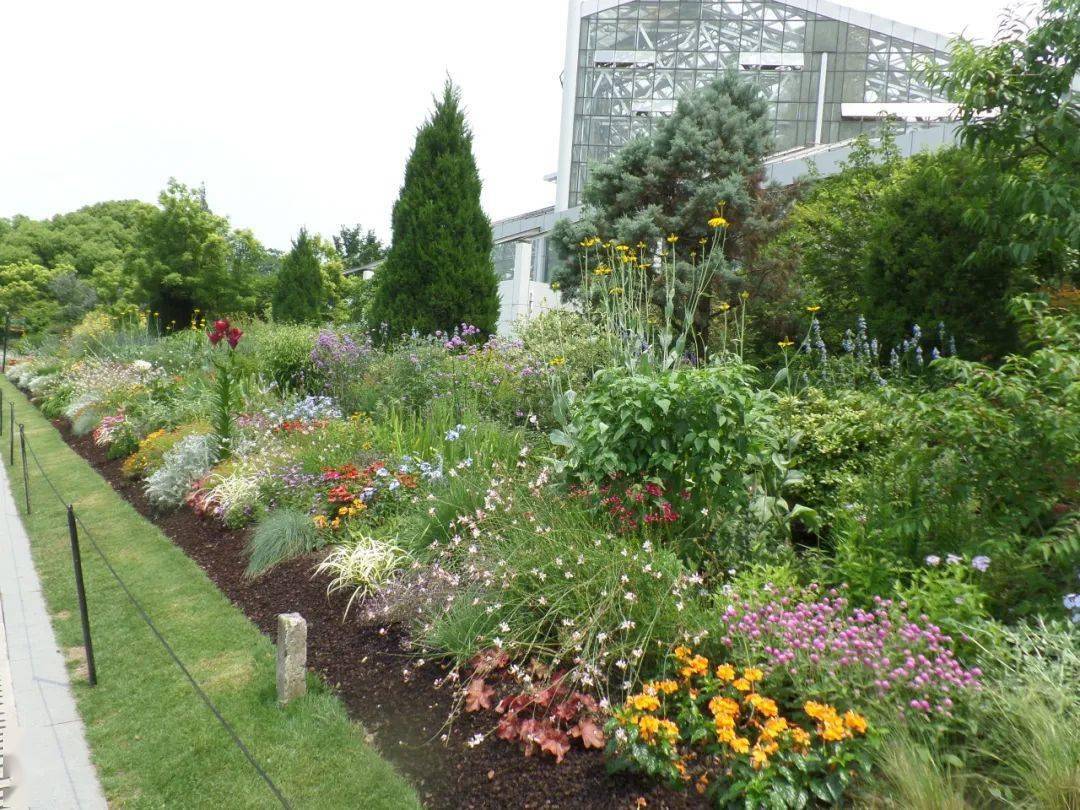 上海植物园—清丽之径岭南公园—繁花似锦黄兴公园—对称式自然花境