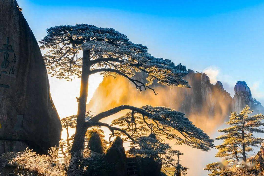 周群带您了解黄山迎客松_中国_雾凇_烟花