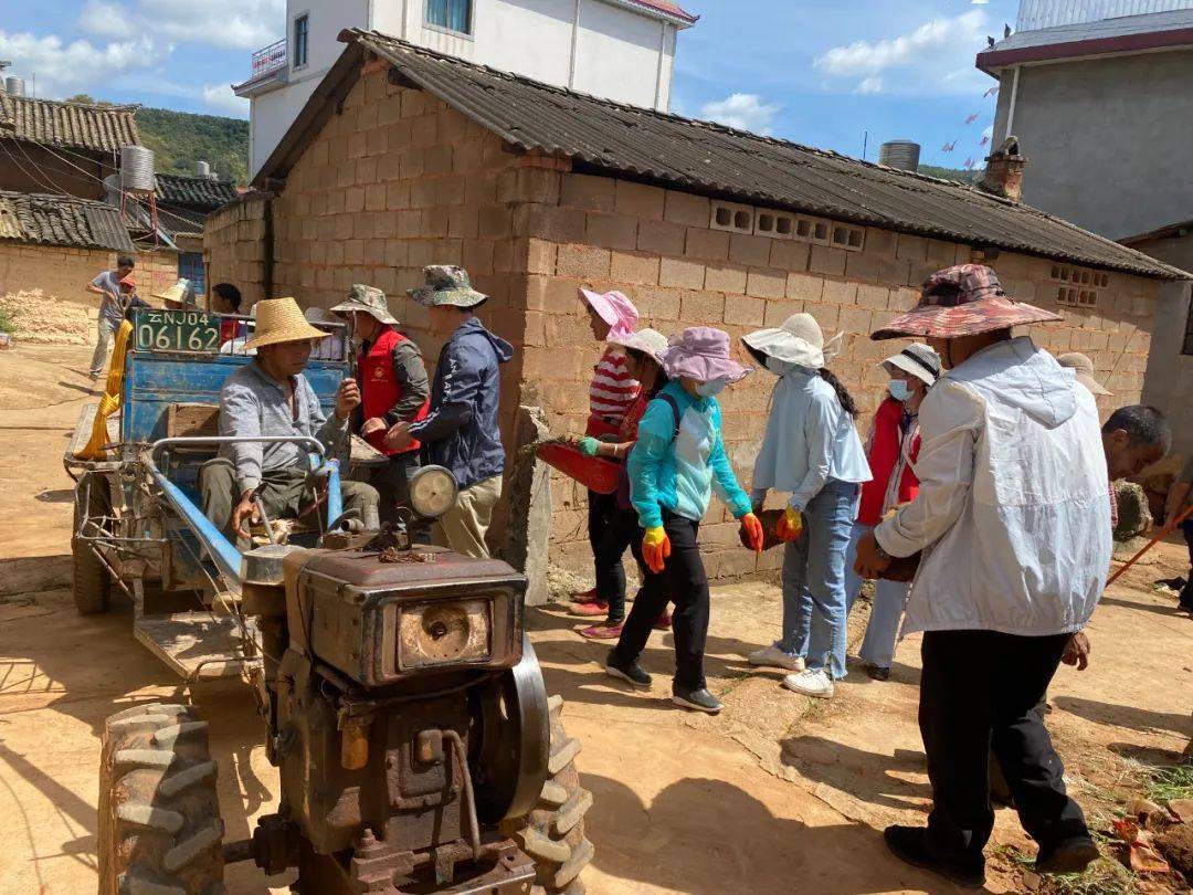 禄丰市和平镇:绿美乡村入画来_示范_大厂_社区