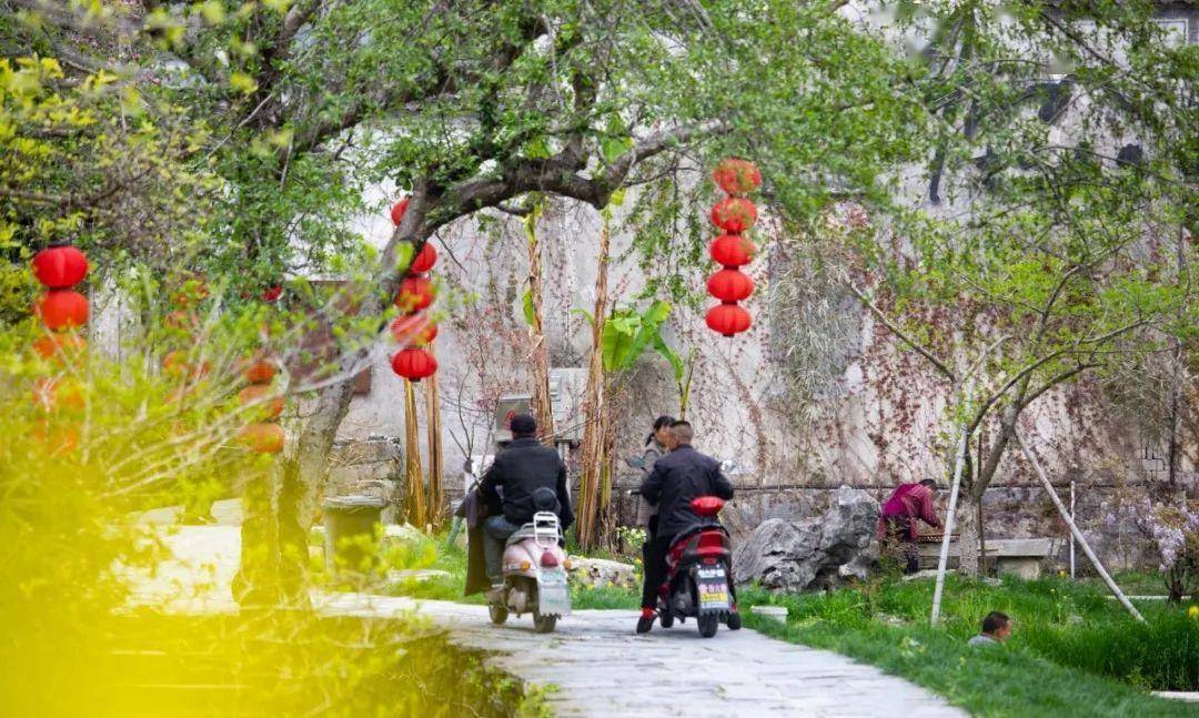 西递党支部,村委会在抓好封山育林的同时,将村里走马楼,追慕堂等祠堂