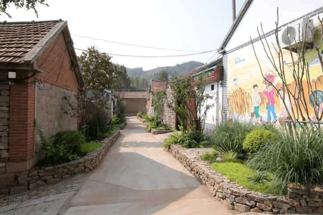 莒县乡村文化振兴|碁山镇:农村综合改革群众得实惠