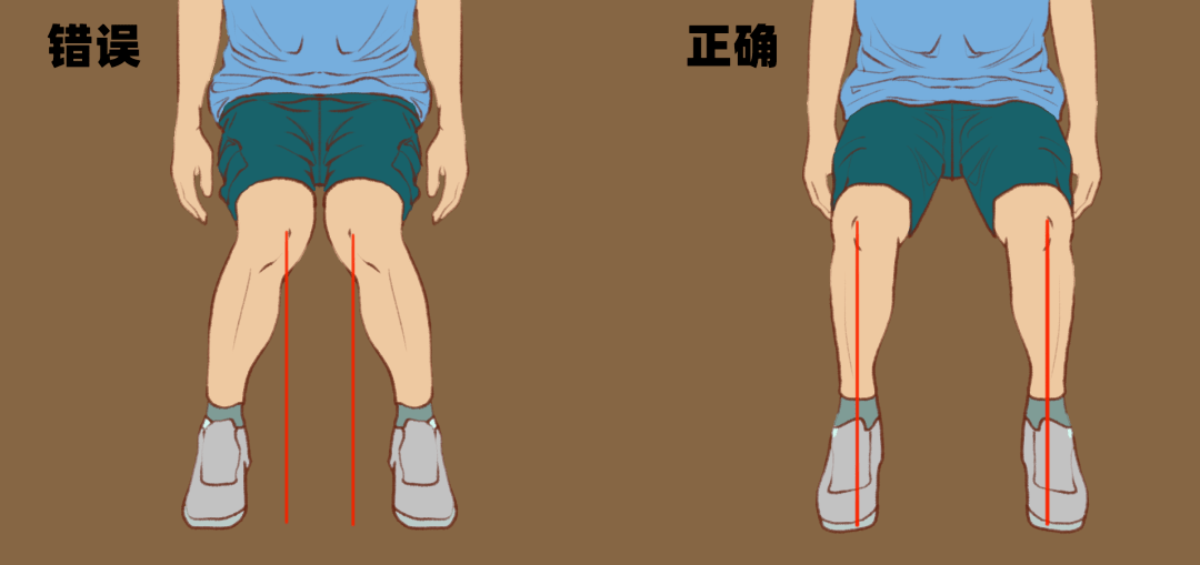 膝关节运动方向示意图图片