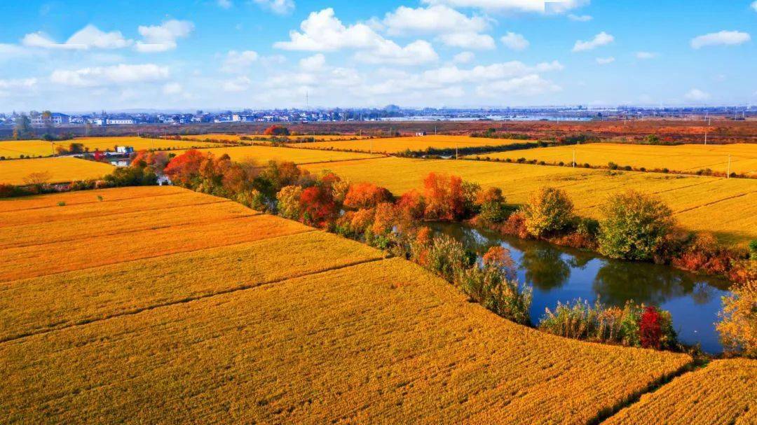 马场山依托村庄现有山水田林的自然优势践行"绿水青山就是金山银山"的