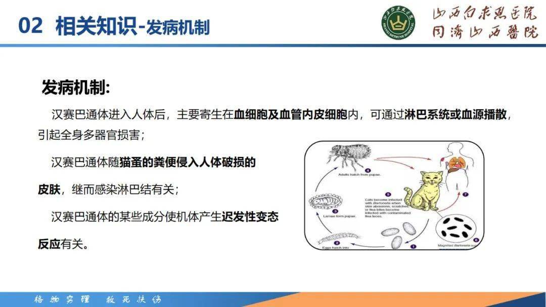 【ppt】一例汉塞巴尔通体伤口感染患者的护理_管理_临床_成长