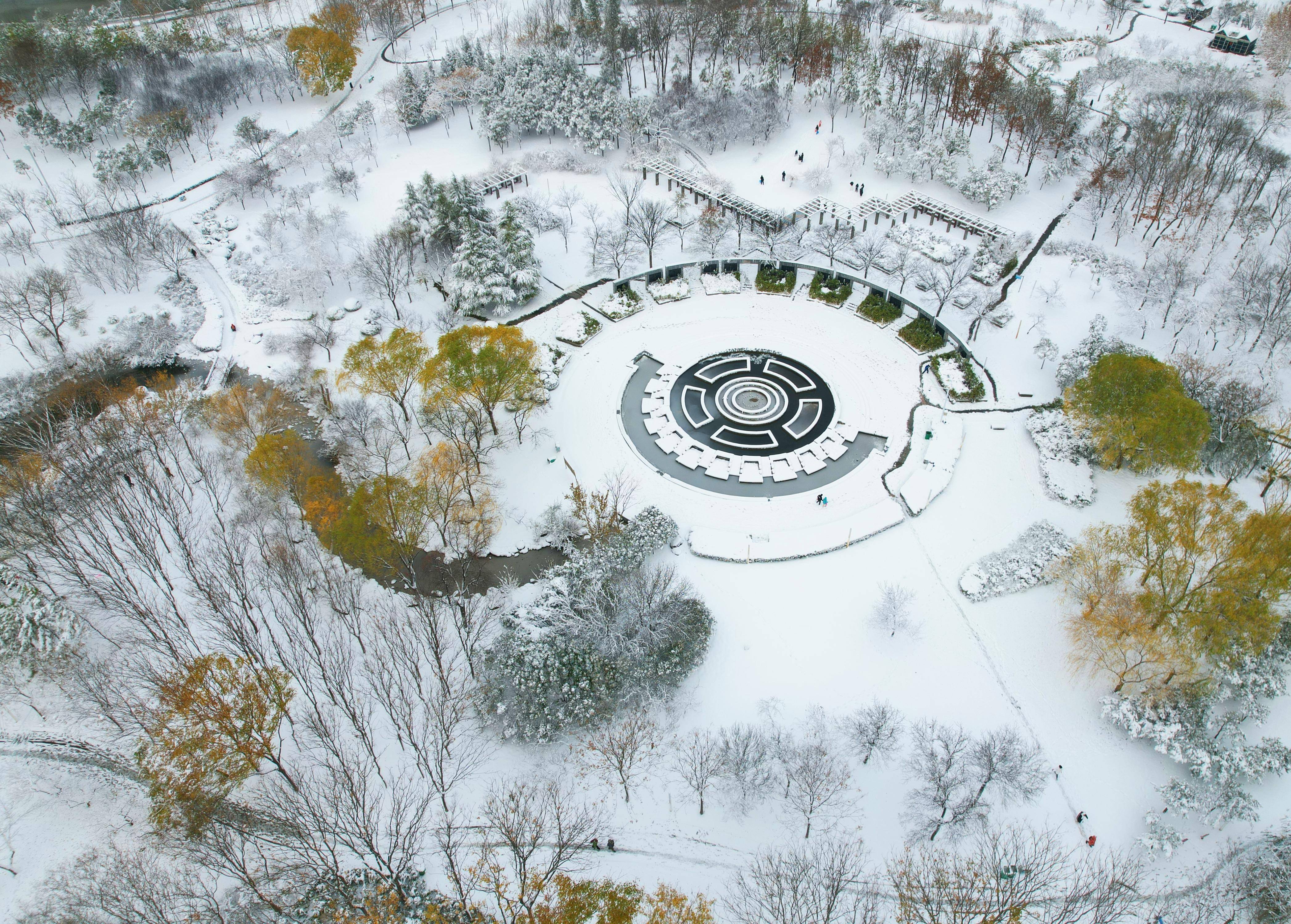 雪后的公园真美啊图片