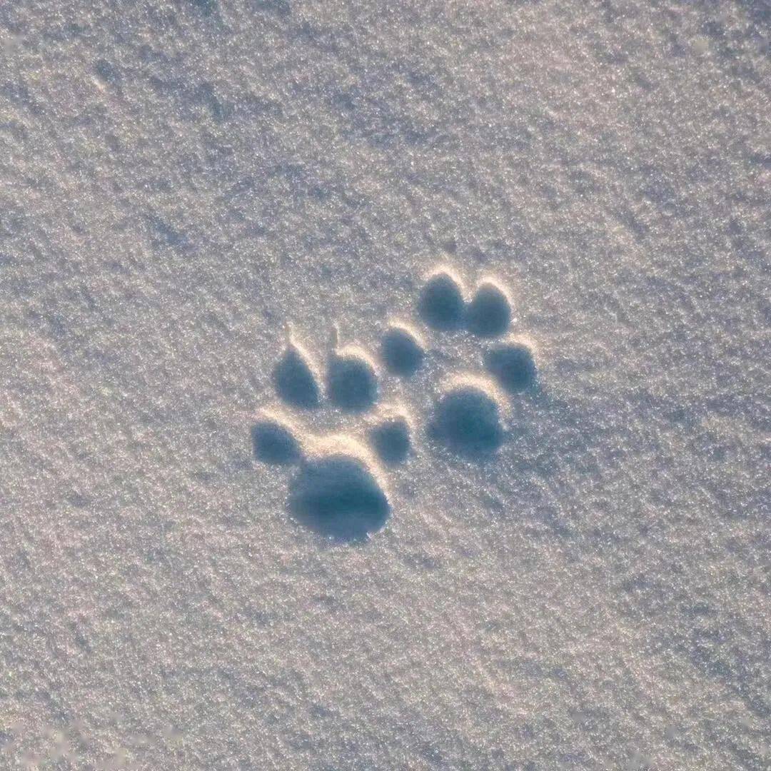 超好看的冬季下雪女生头像~ ​​​