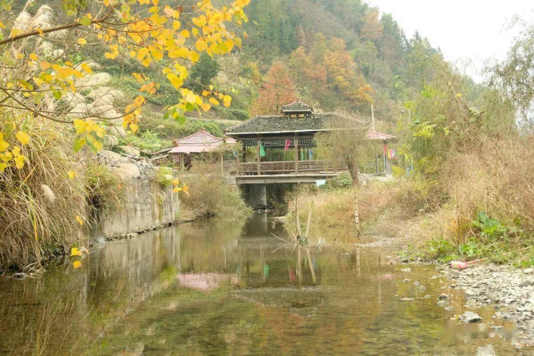 天柱:魅力鱼塘别样美 正是冬游好时节_塘村_建设_贵州省