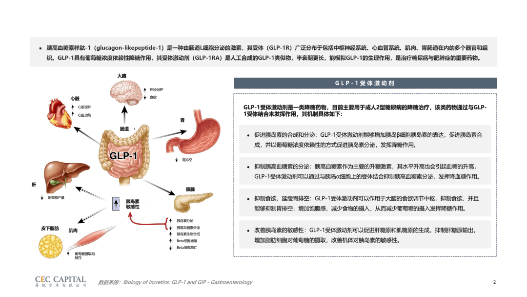 易凯资本：2023年GLP-1行业研究报告-老故事与新战场