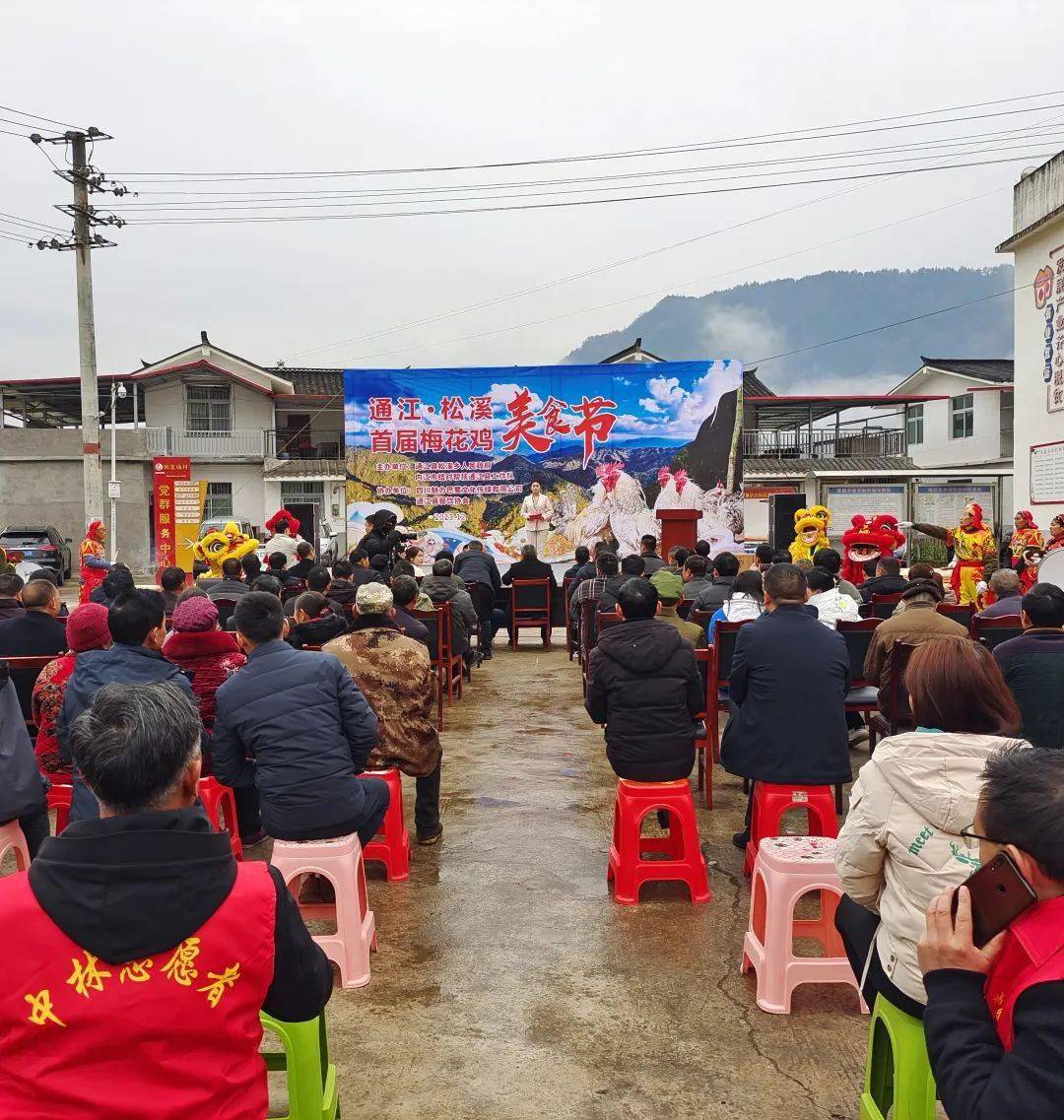 通江·松溪首届梅花鸡美食节圆满落幕!_养殖_松溪乡_山地