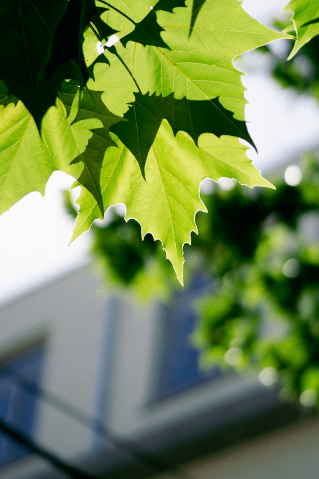 夏日_秋风_冬日