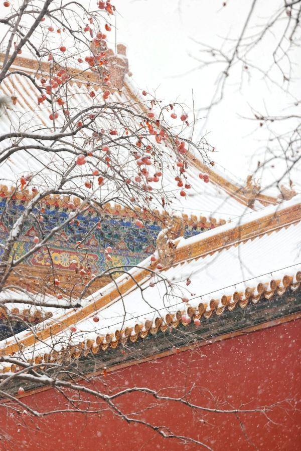 北京故宫雪景高清照片图片