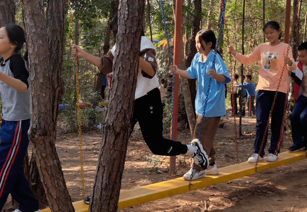 生態茶園裡瀰漫著馥郁芬芳的茶香,辛勤的小蜜蜂們正在茶園中忙著採茶