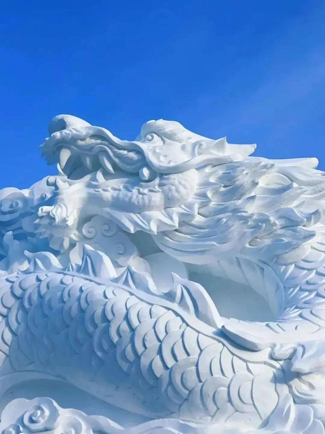 雪龙龙画法图片