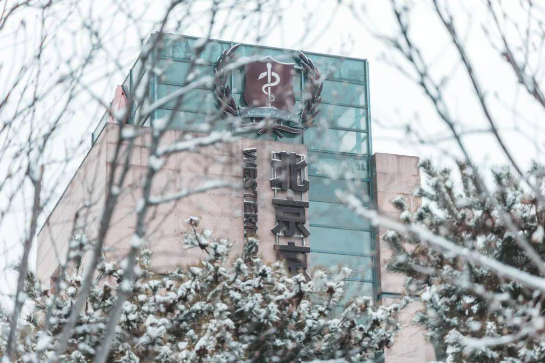 雪中的北京京西肿瘤医院,美成这样!_防护_雪天_雪花