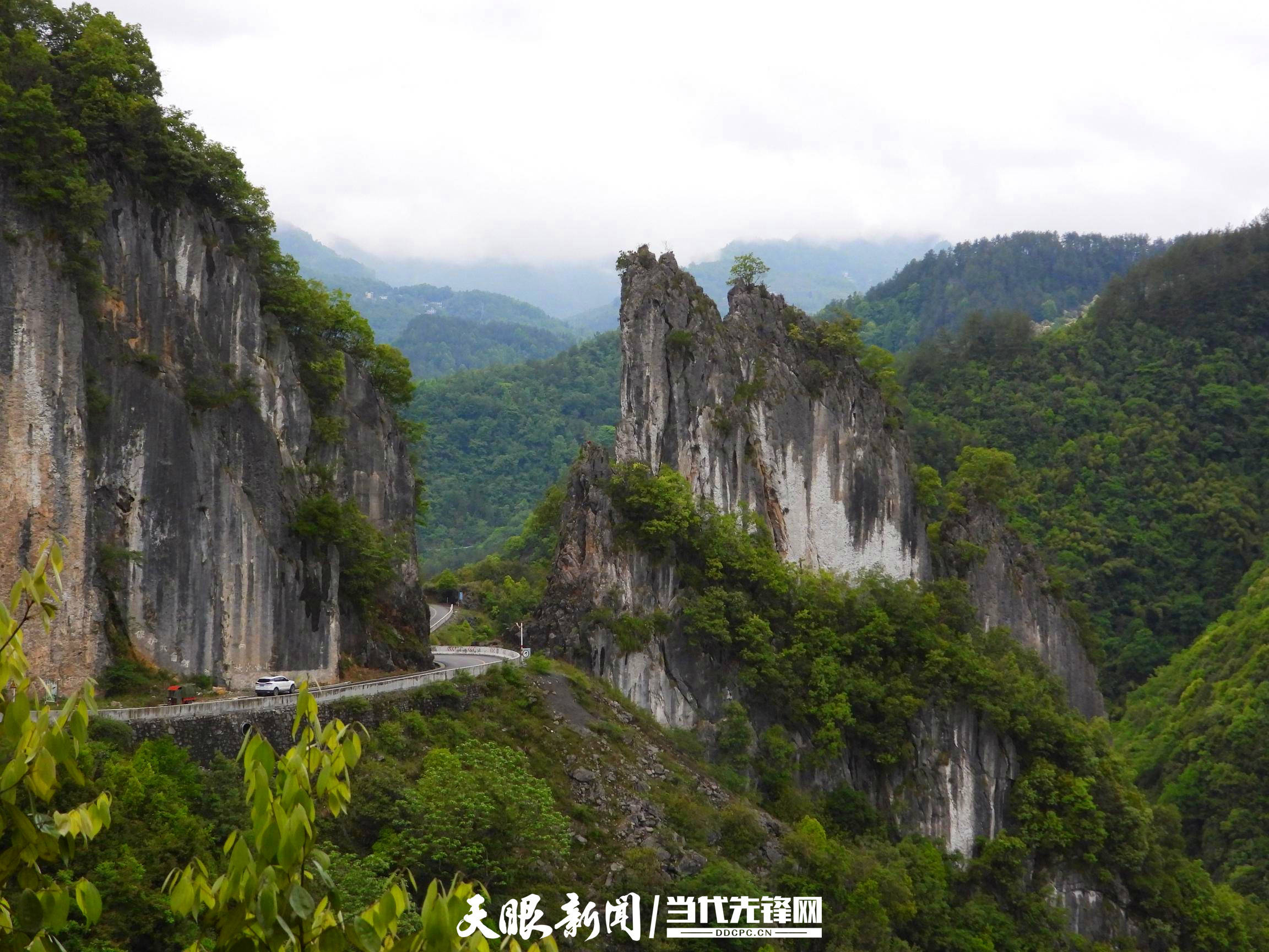 守好青山 换来金山