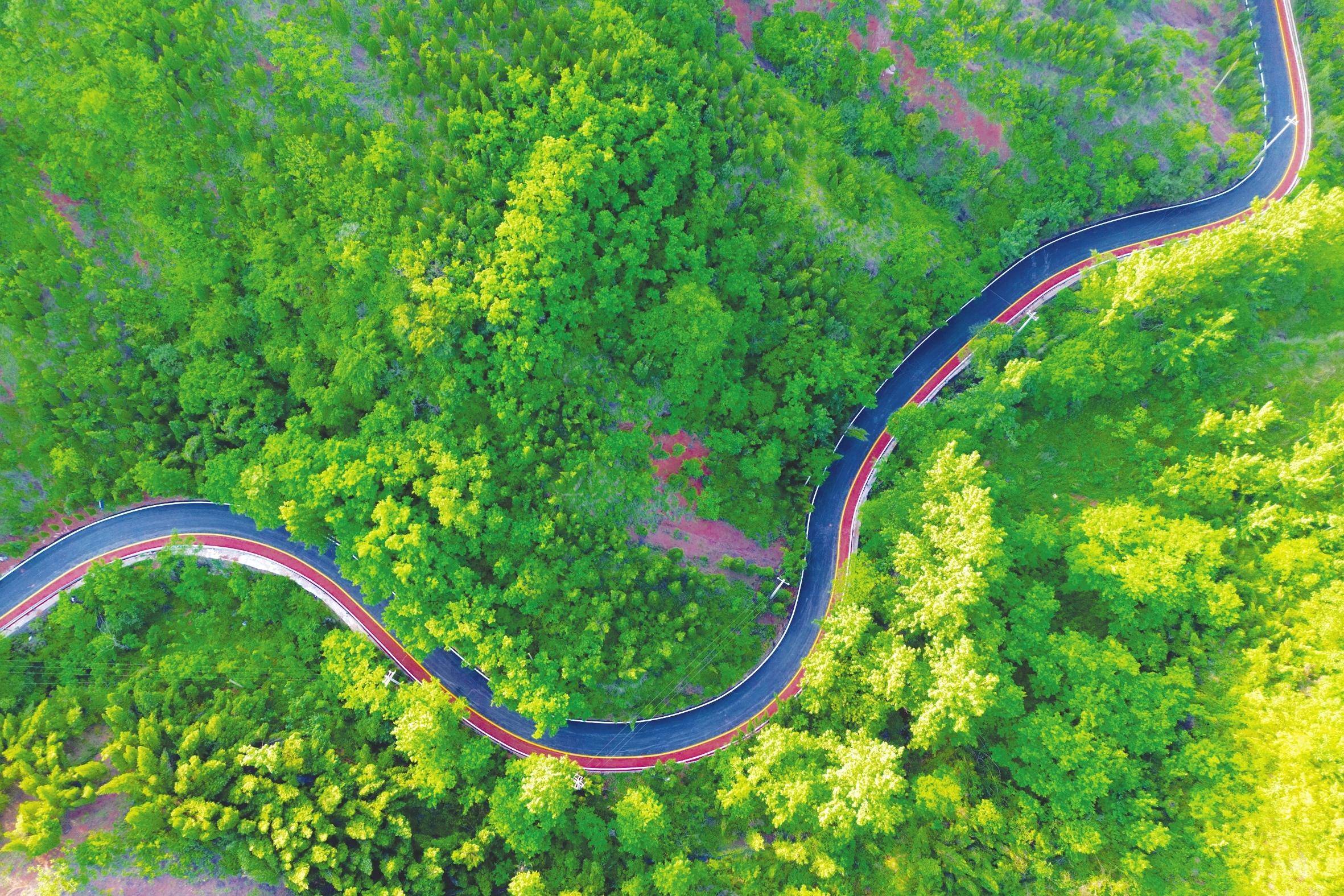 《河南日报》今日推出"改革开放的河南实践"三门峡篇:义马市 向"新"向