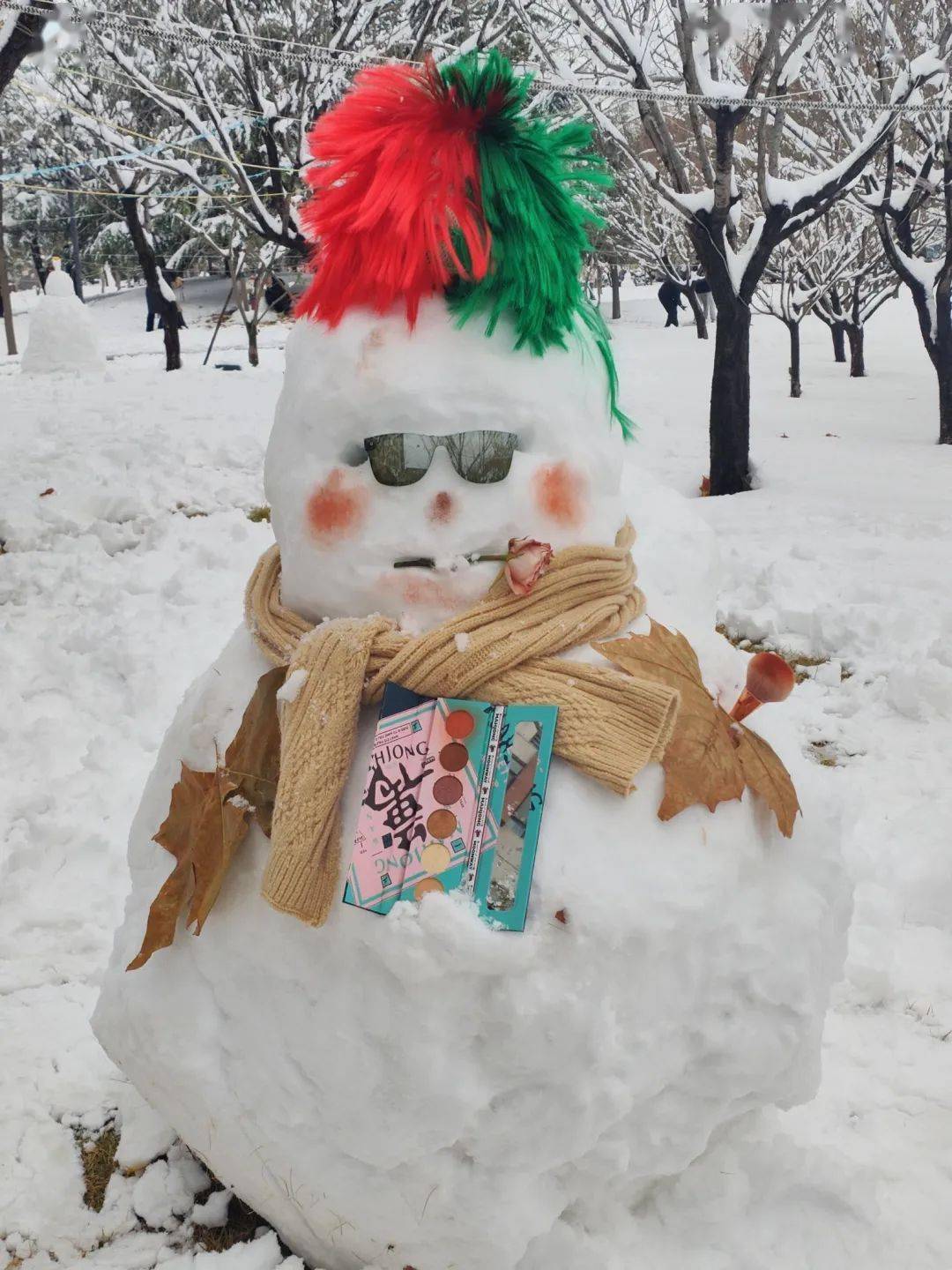 刺骨河南师范大学创造出许多别具一格的雪人作品让农大学子用无尽乐趣